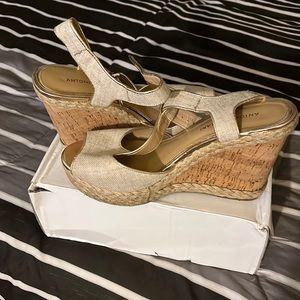 Tan and gold wedge sandals size 8. Not worn much Antonio Melani collection.